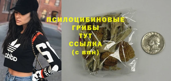 герыч Снежинск