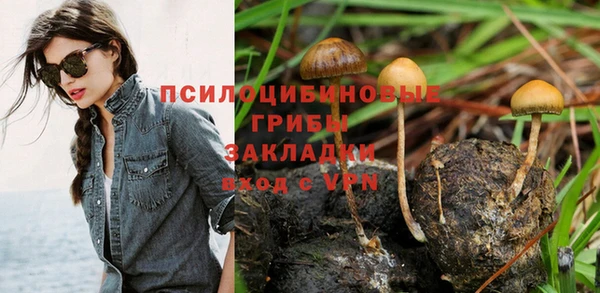 гидропоника Заводоуковск