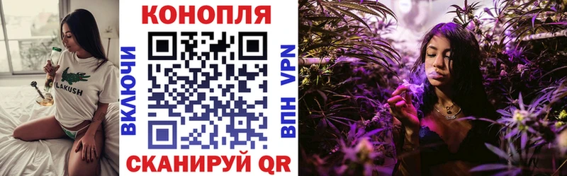 Купить закладки  Ипатово  Бошки марихуана семена 